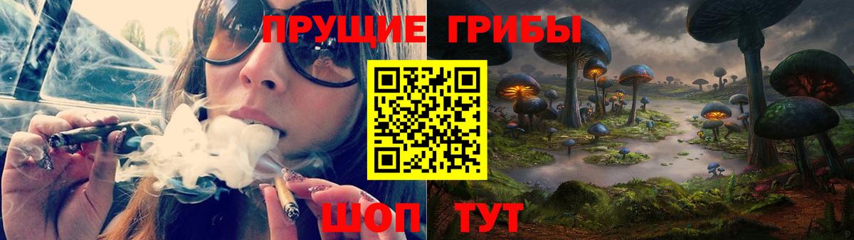 Тосно  Галлюциногенные грибы мухоморы  Вход с VPN 
