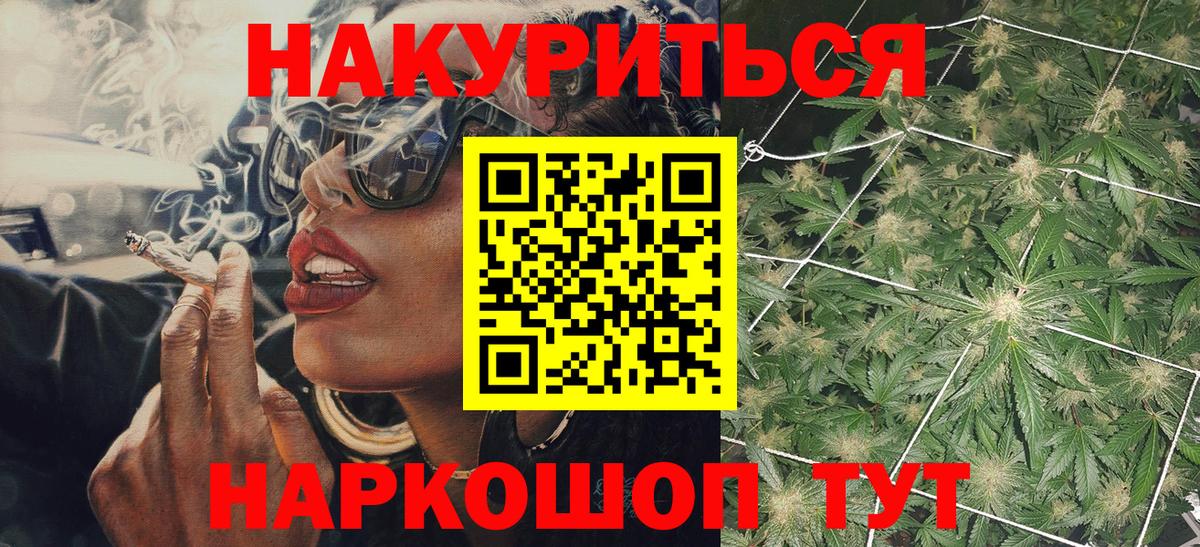 Конопля индика Тосно